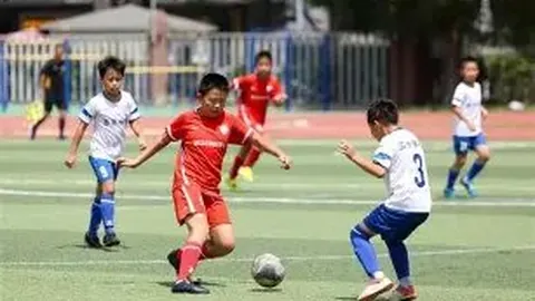 CBA 10月22日焦点战：辽宁对阵青岛，赛事精彩回顾