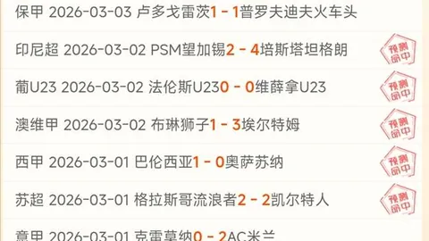 《邮报》独家：纽卡狂欢盛况，超20万球迷共襄英联杯胜利游行盛典